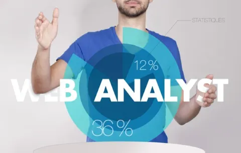 A web analyst's role in the web design process