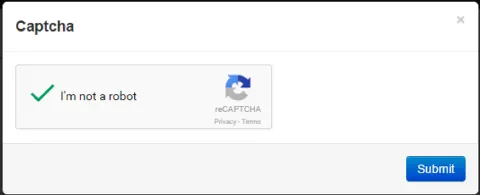 CAPTCHA on a website form