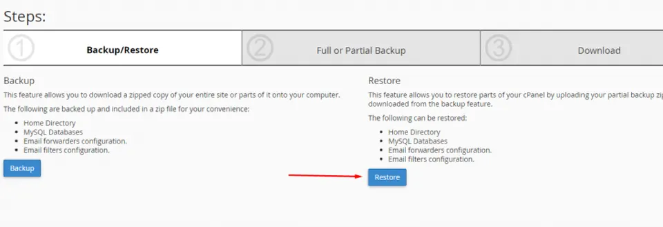 Restore options in the cPanel Backup Wizard