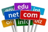 Memilih Nama Domain Yang Tepat Untuk Website Anda